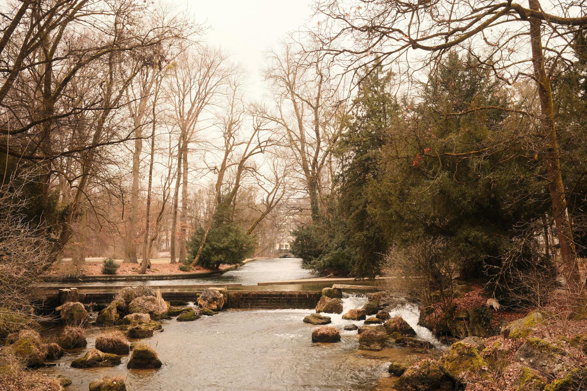 The Ultimate Guide to Things to Do in Munich 4 English Garden Munich Englischer Garten urban park with trees and pathways