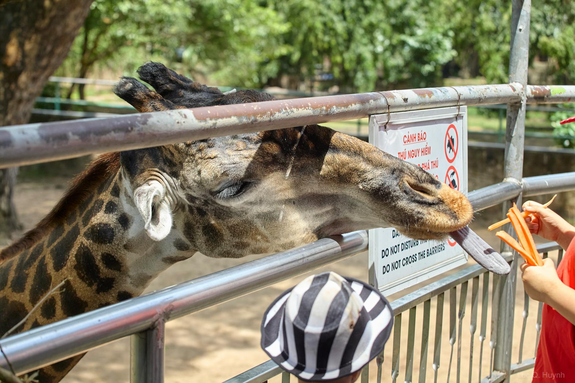 Munich with Kids: Ultimate Family Guide 3 Family visiting Munich Zoo Hellabrunn with children and animals