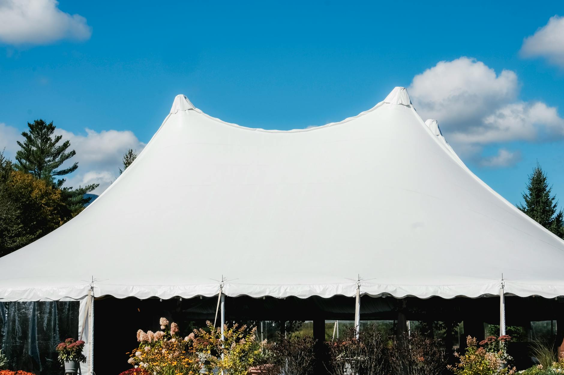 Complete Guide to Oktoberfest Beer Tents 6 Kafer Wiesn Schanke celebrity Oktoberfest exclusive late night