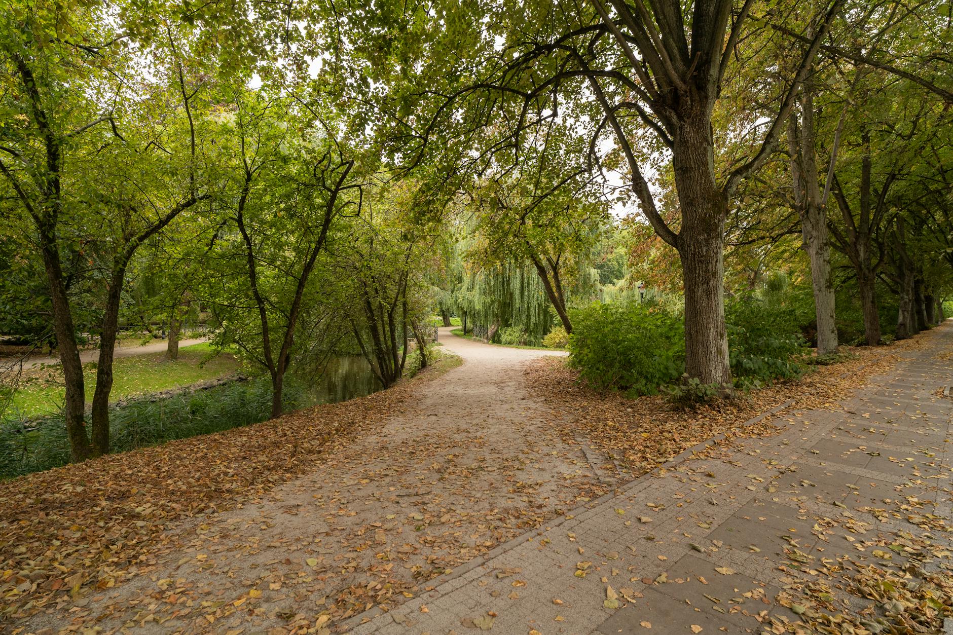 Schwabing: Bohemian Quarter 4 English Garden southern entrance Schwabing park leafy