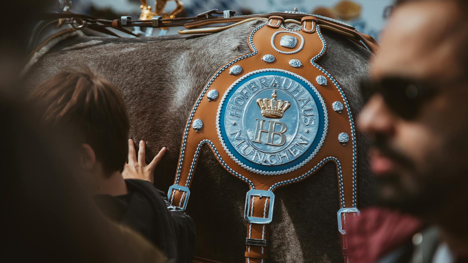 German Phrases for Munich Tourists: Essential Words & Bavarian Dialect 2 Useful German phrases for ordering one Mass beer with eye contact and Prost toast in Munich