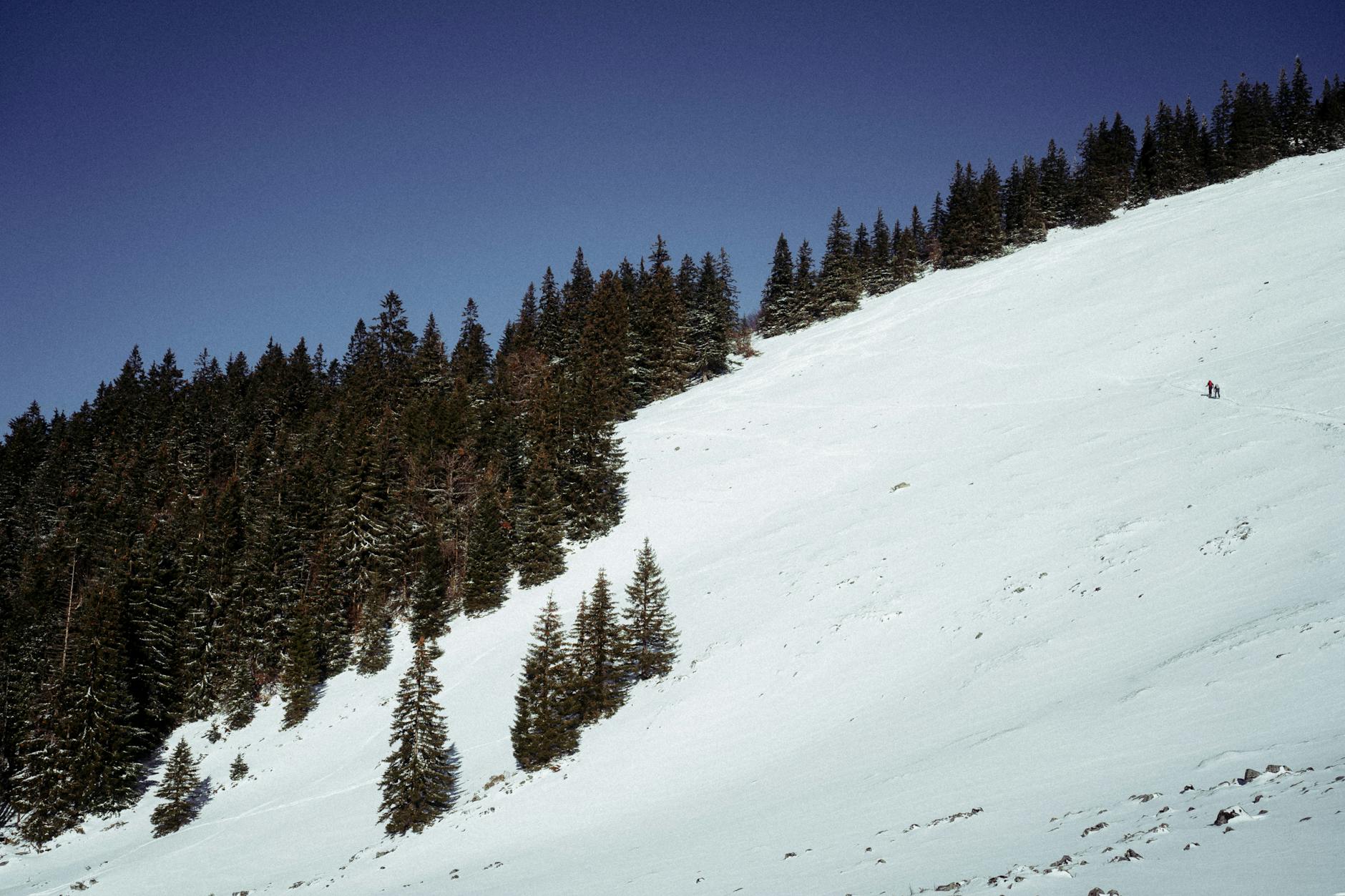 Munich in Winter: Beyond Christmas Markets (2026) 4 Bavarian alps skiing slope