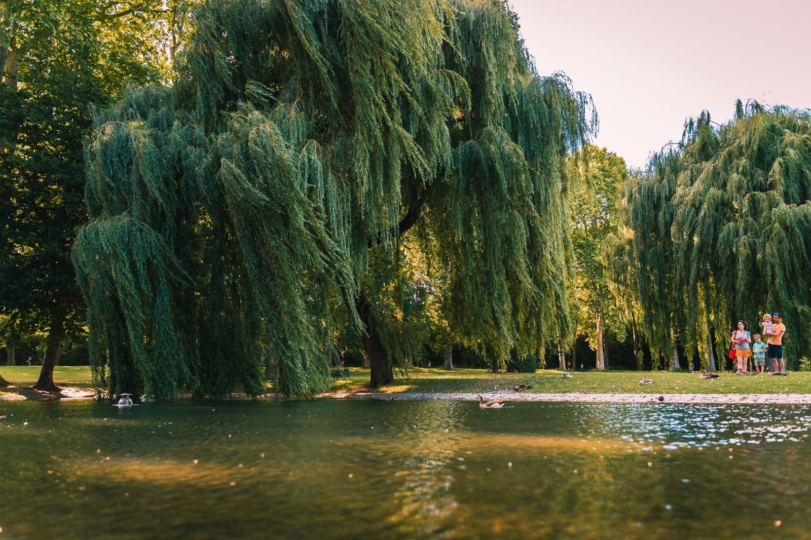 Munich with Kids: Ultimate Family Guide 9 Family with children relaxing in the Englischer Garten in Munich on a summer day