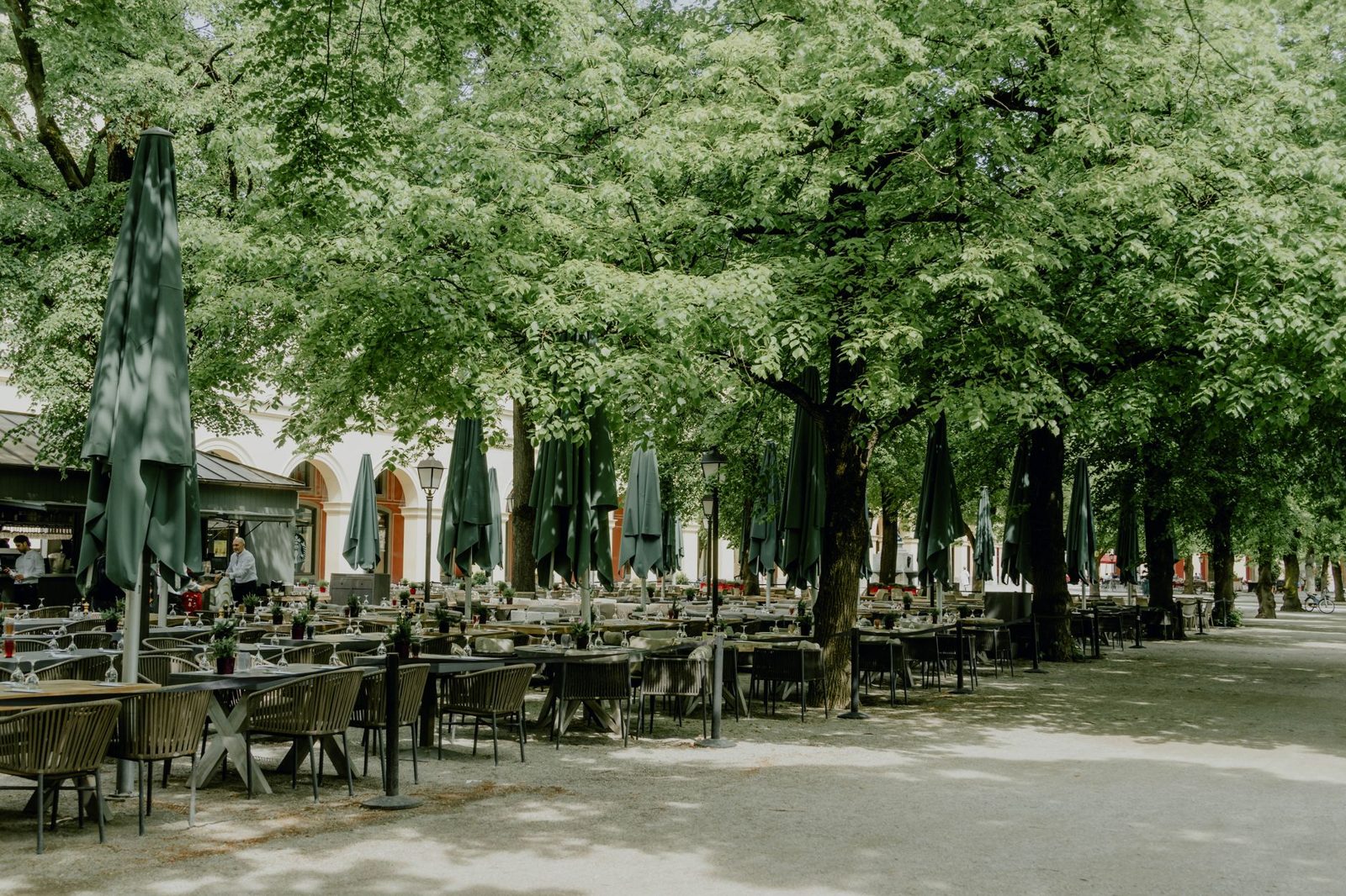 Schwabing: Bohemian Quarter 7 A cafe-lined street in Munich's Schwabing district