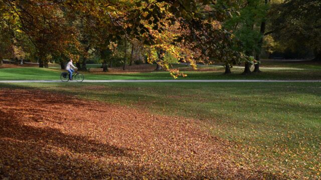 Cycling in Munich: Bike Rental and Routes